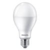 Philips LED Bulb 24W