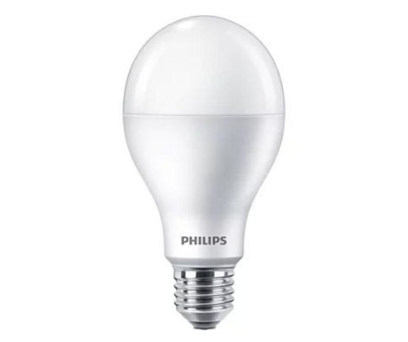 Philips LED Bulb 24W